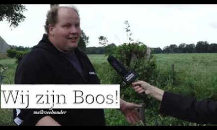 Boeren in Stroe zijn boos! Er is geen water meer…