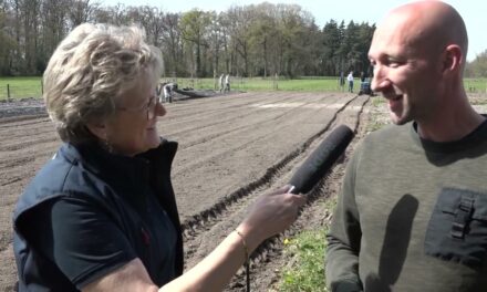 Boerderij t’Paradijs wordt Groenteparadijs