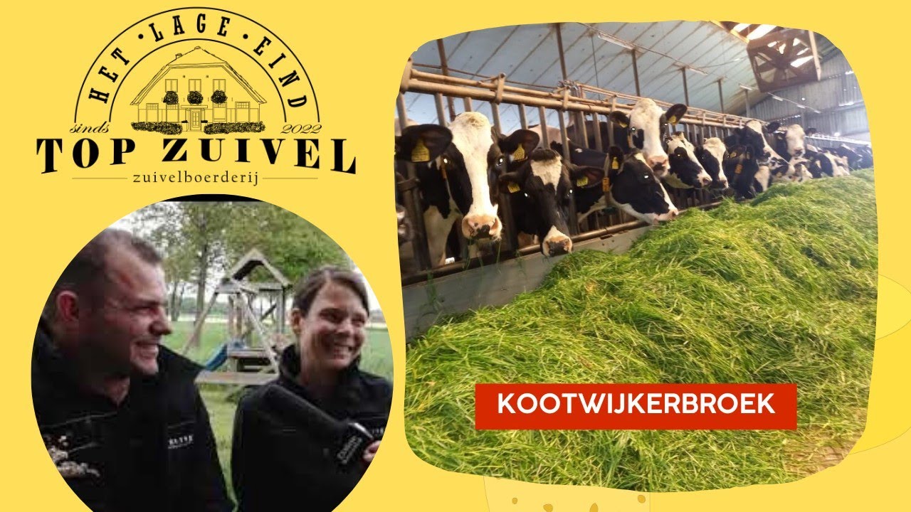 Proef de prachtige smaken van het gele goud Kaas van de boer in de