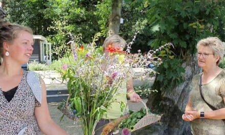 Pluktuin in Stroe open – bloemenpracht-