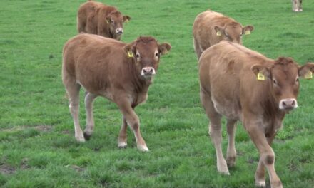 AERES MBO Barneveld | Boeren en duurzaamheid gaat dat samen?