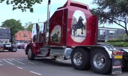 Truckfestijn 2018 | Stroe-Kootwijkerbroek