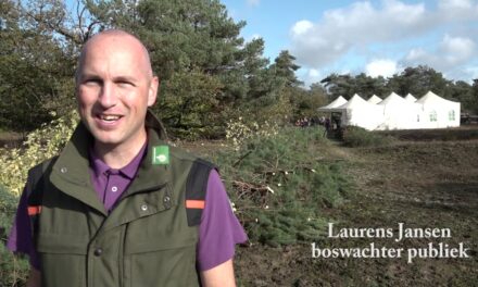 Natuurwerkdag | 2019 | Kootwijkerzand