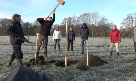 Herplanten van een 150 jaar oude boomgaard in Stroe