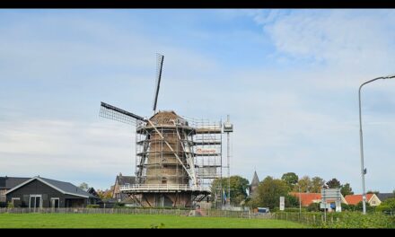 Molen de Hoop in Garderen krijgt nieuwe rieten kap