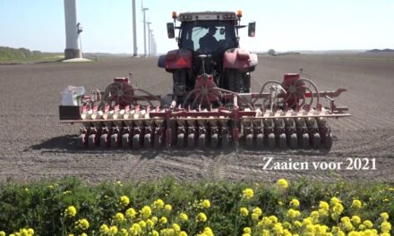 Corona sloopt ook de bloemen en groenteteelt bij Nijkerk