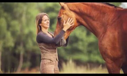 Greetje Hakvoort passie voor paarden