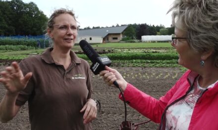 Biologische Groenten voedzaam en veel lekkerder